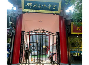 碑林區少年宮鐵藝大門